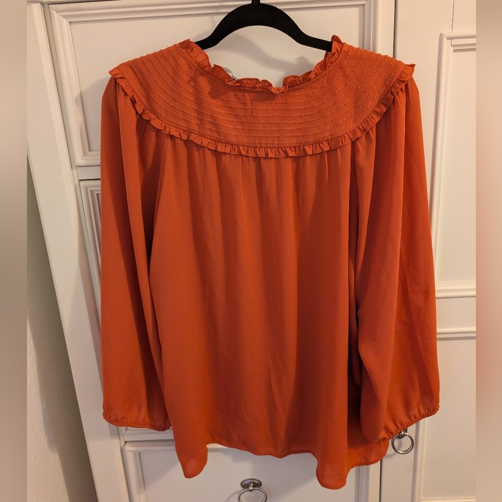 Daniel Rainn‎ Rust Ruffled Blouse - Picture 4 of 4